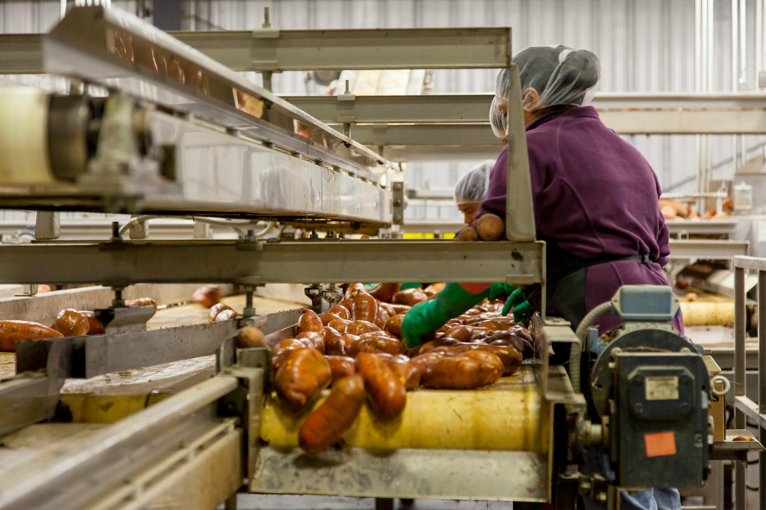 What Should Food Workers Use To Handle Ready To Eat Pastries?
